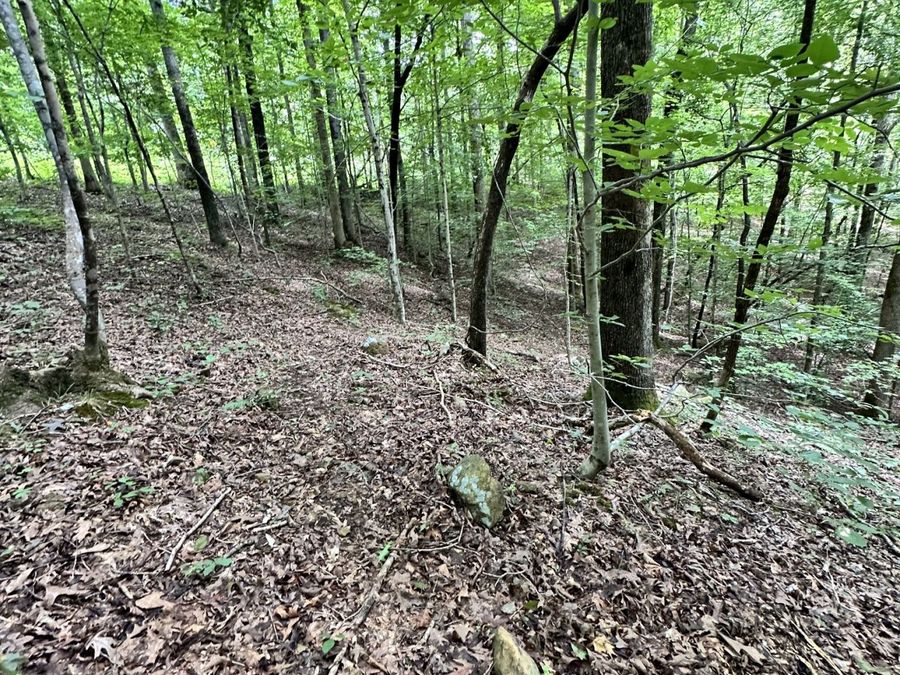 Property Image 19