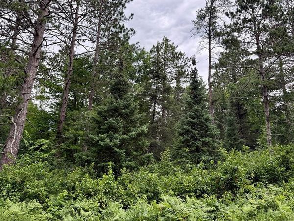 Lot 23 Lake Lodge Drive, Cable, WI 54821