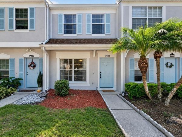 17403 FLATWOODS KEY DRIVE, TAMPA, FL 33647