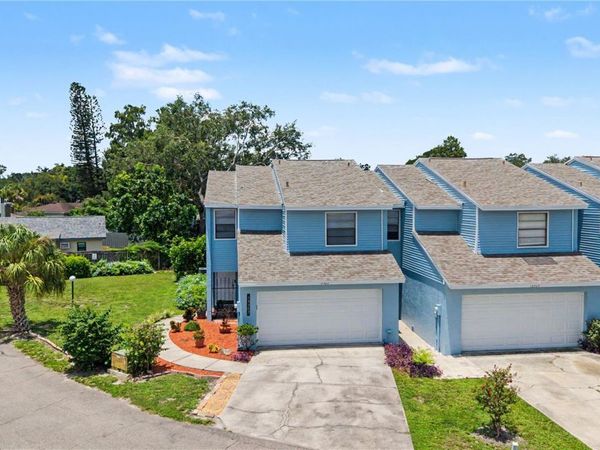 13302 ARENA PLACE, TAMPA, FL 33612