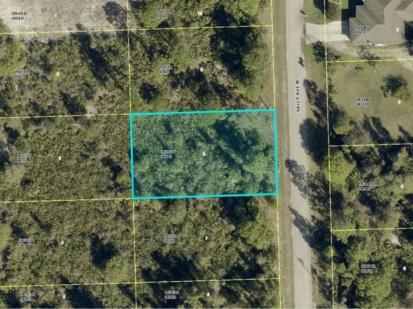 6005 SALLY AVENUE N, LEHIGH ACRES, FL 33971