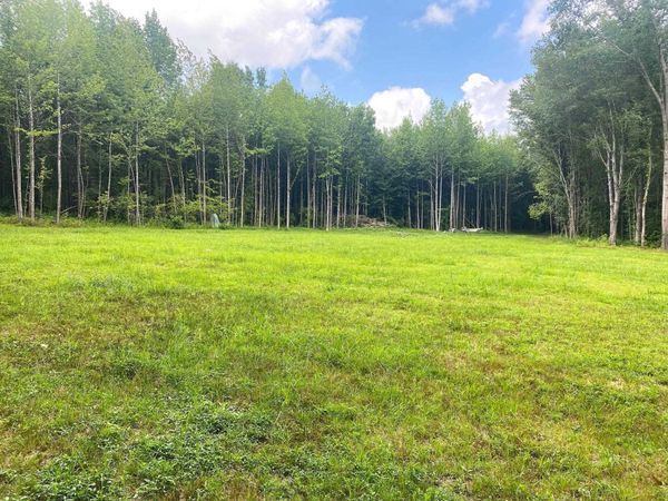 1234 SANDY FLATT RD, Bethel Springs, TN 38315