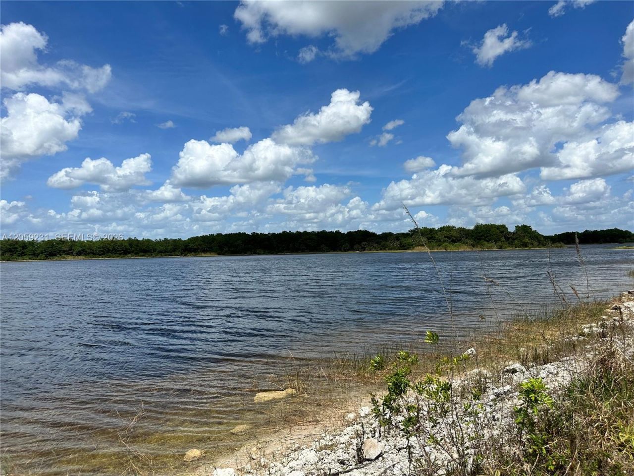 515 Shady Hollow Blvd W, Naples, FL 34120 Photo