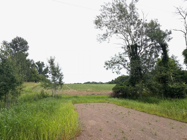 TBD (L1B1) Flamingo Street NW, Isanti, MN 55040