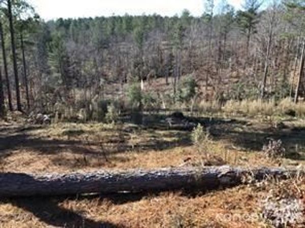 2072 Snowmass Drive , Connelly Springs, NC 28612