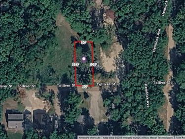 00 Tolliver Street, Golden Township, Mi 49436