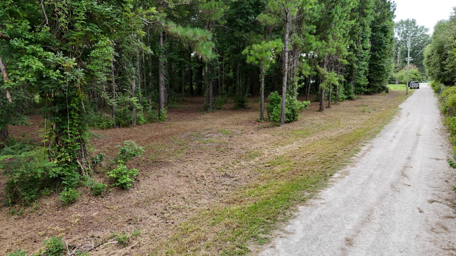 0 Pinckney Road Photo 14
