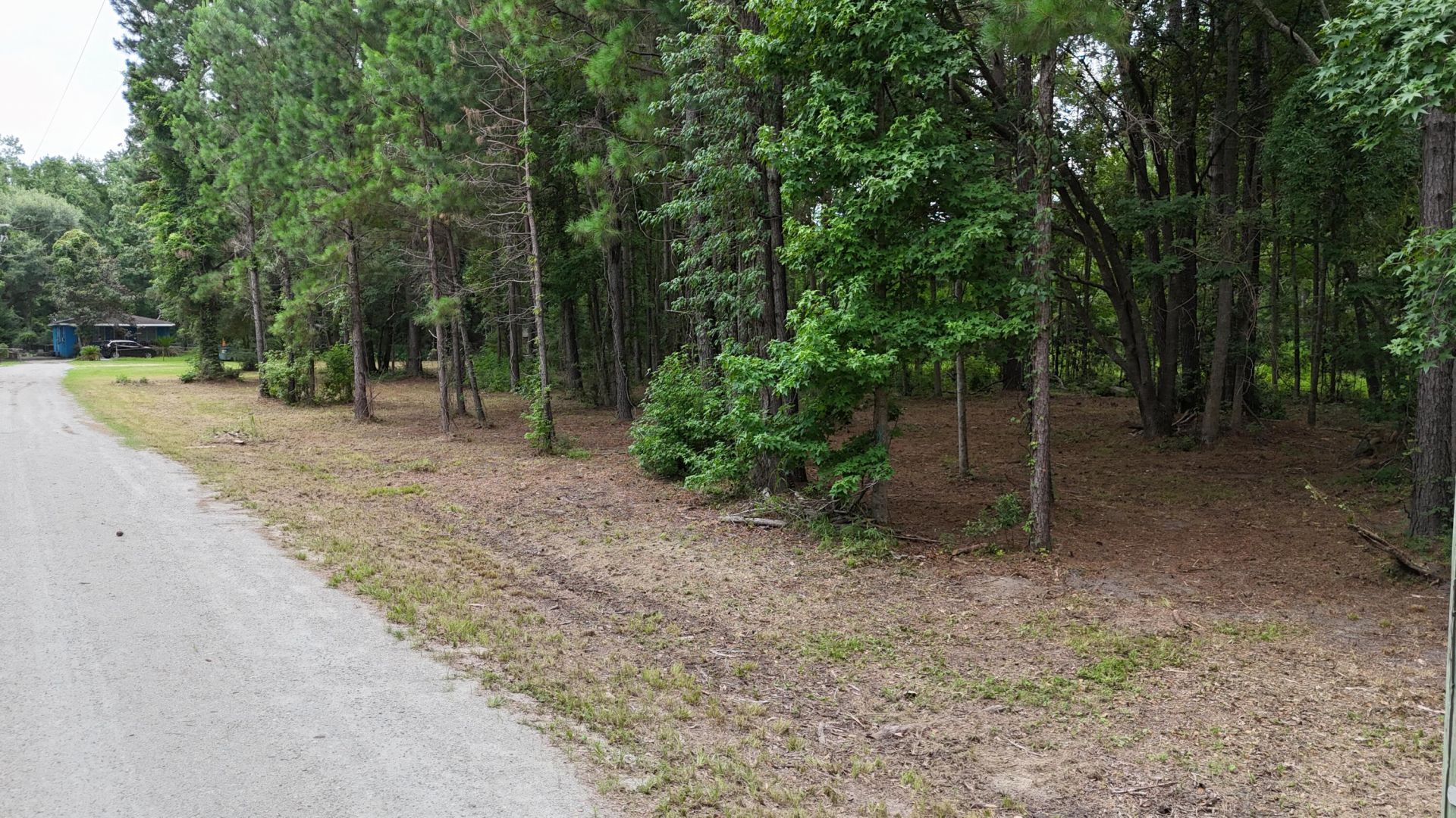 0 Pinckney Road Photo 4