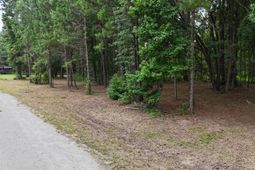 0 Pinckney Road photo 4