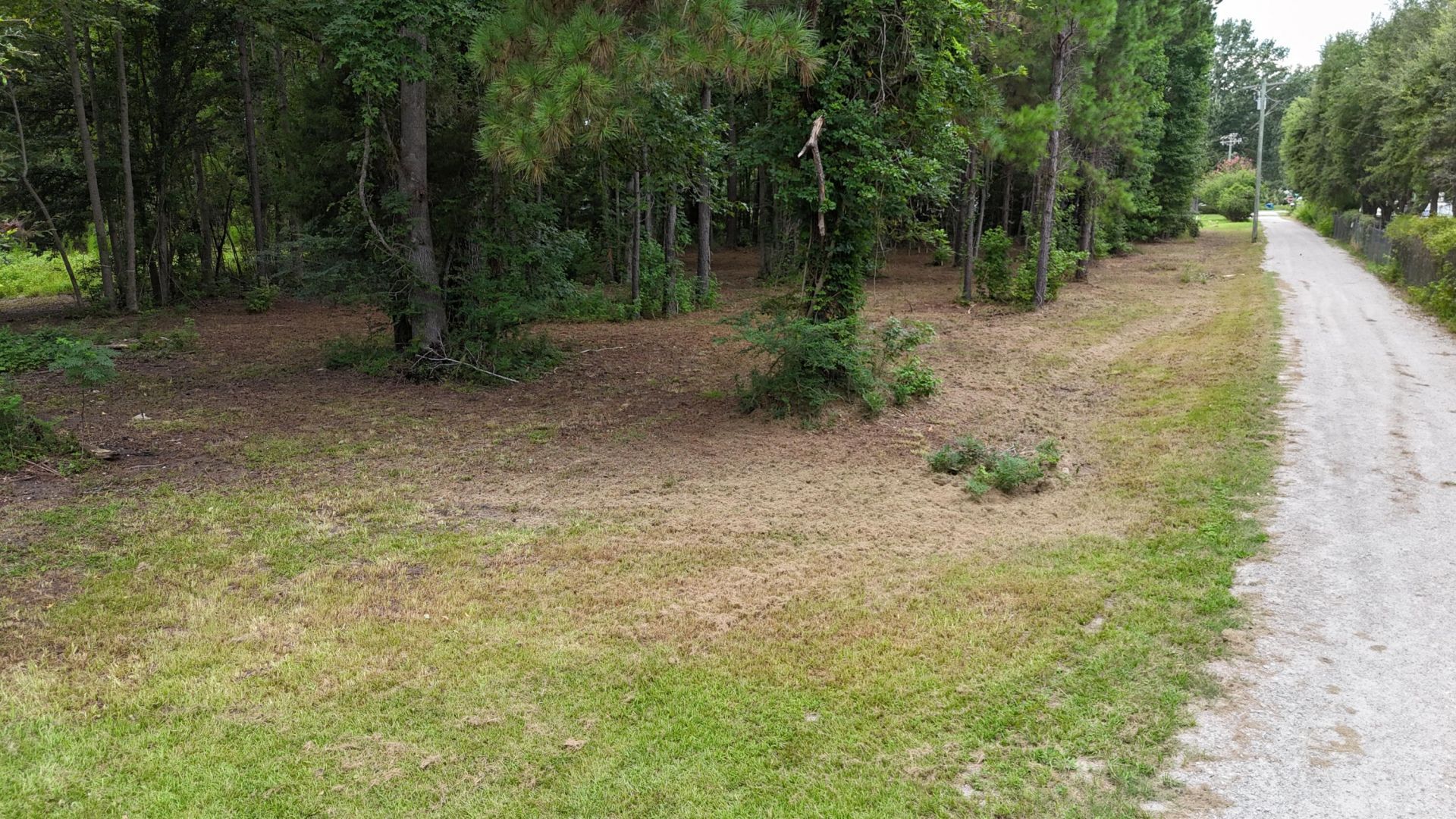 0 Pinckney Road Photo 5