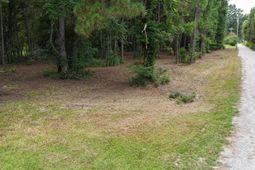 0 Pinckney Road photo 4