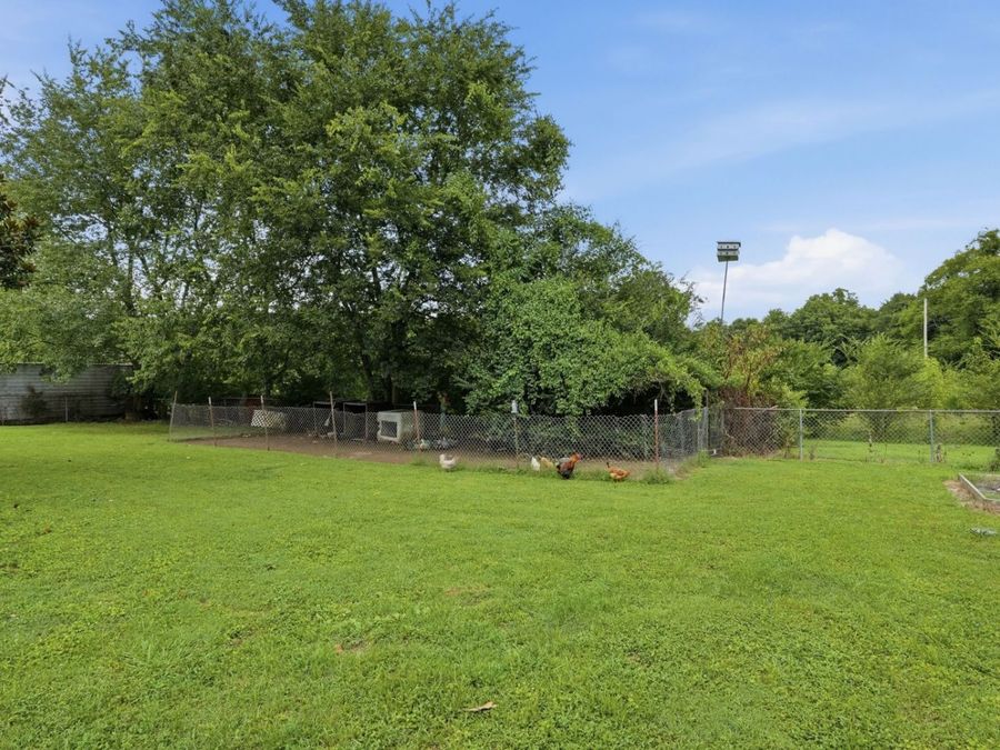Property Image 37