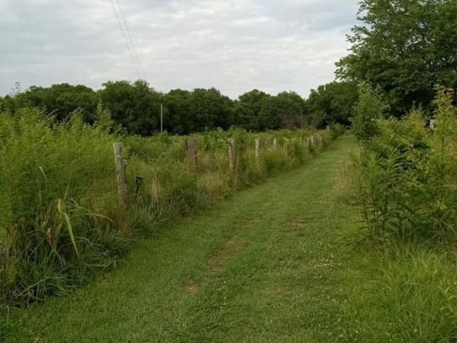 Property Image 62