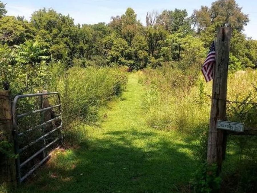 Property Image 65