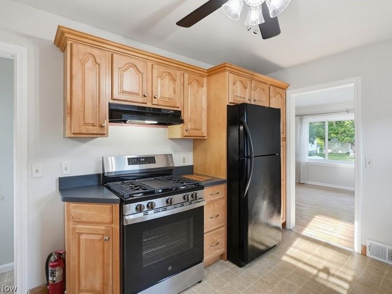 1539 Vine Street, Kent, OH 44240 Photo 16