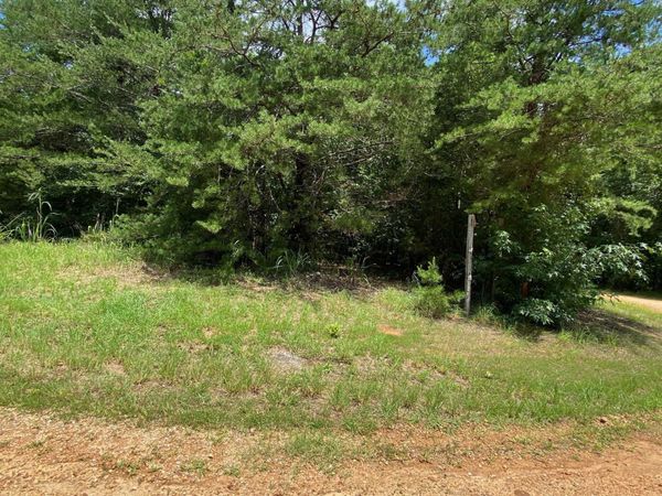 5 BALD EAGLE DR, Morris Chapel, TN 38361