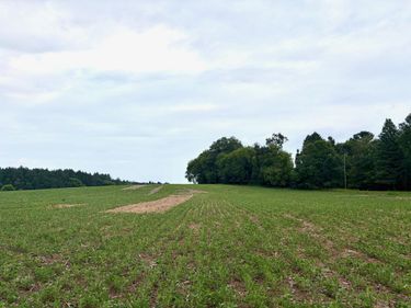 TBD (L3B1) Flamingo Street NW, Isanti, MN 55040