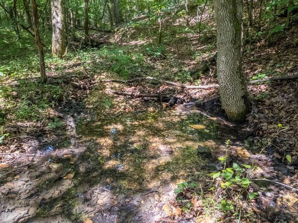 Tract 3 Upper Janes Creek Road , Ravenden, AR 72459