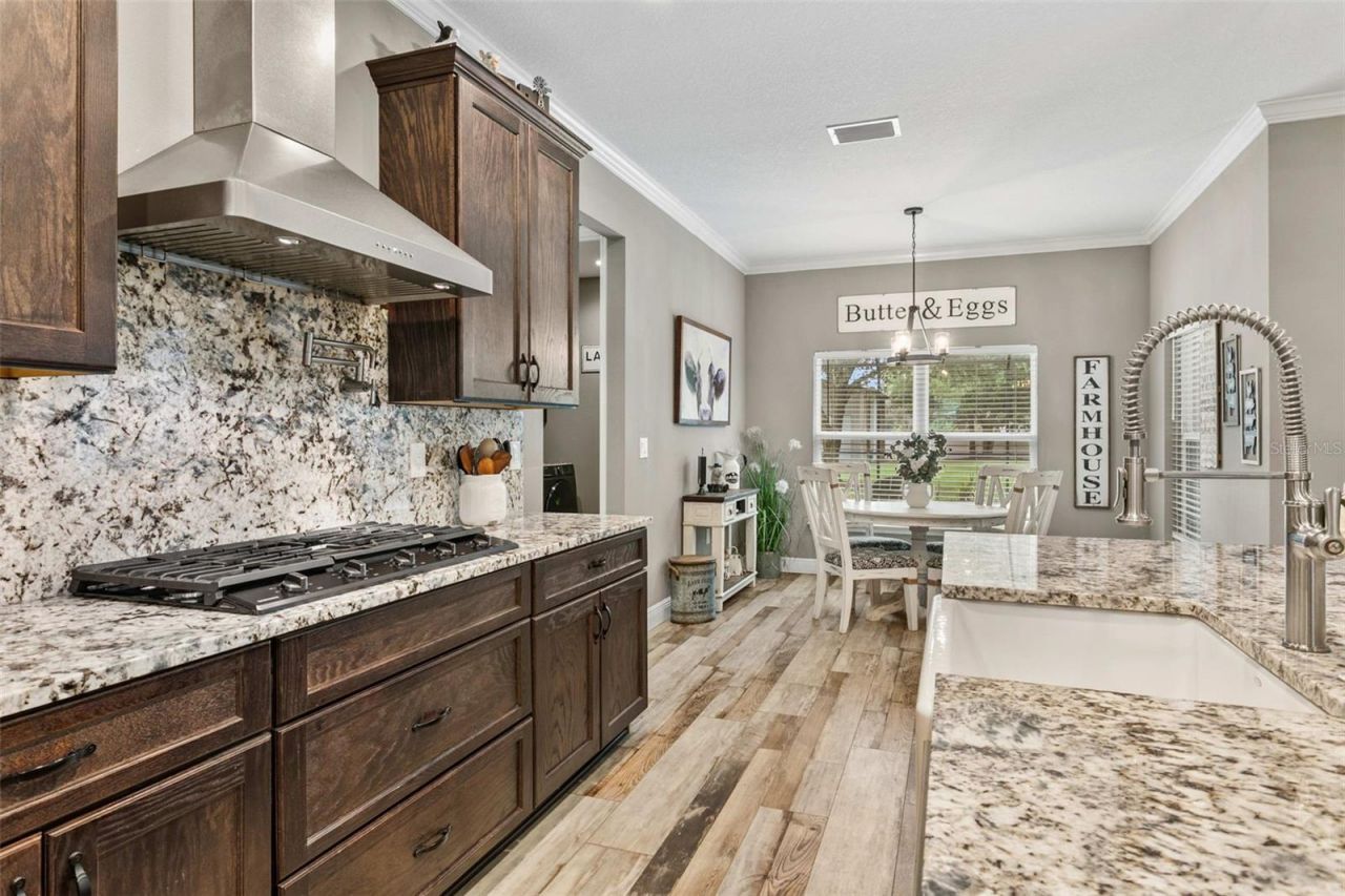 14805 Sydney Heights Court, Dover, FL 33527 Photo