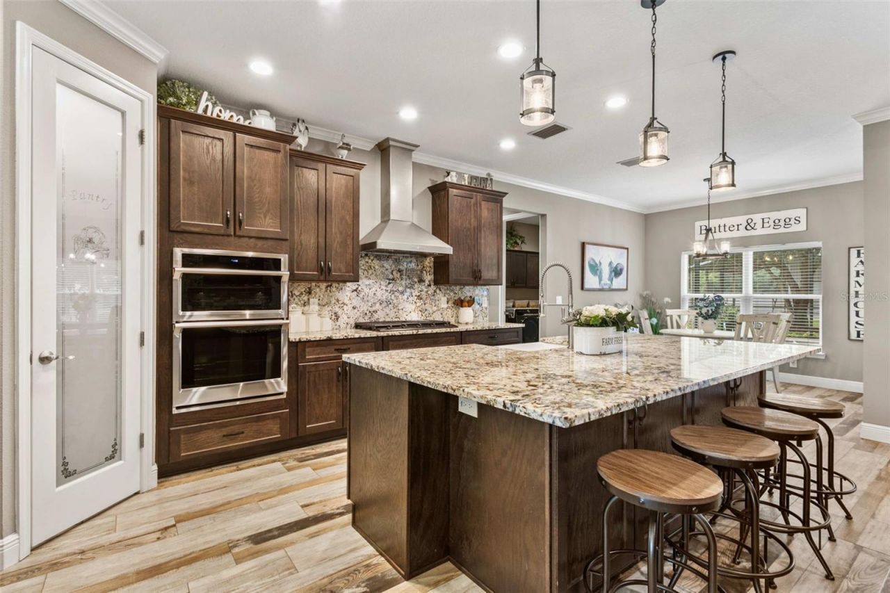 14805 Sydney Heights Court, Dover, FL 33527 Photo