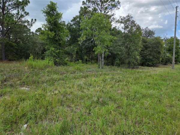 0000 SE STATE ROAD 121 , WILLISTON, FL 32696