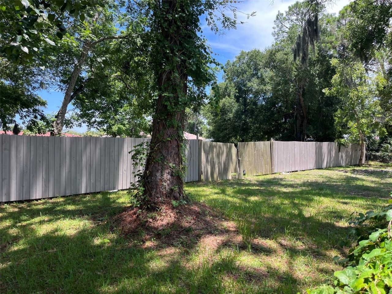707 Cherry Street, New Smyrna Beach, FL 32168 Photo