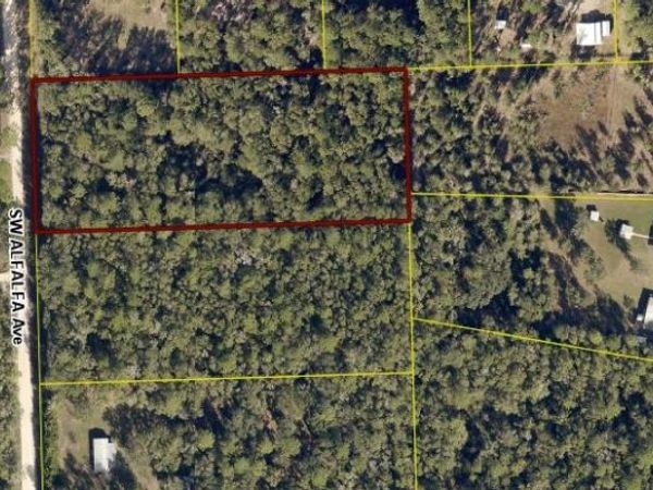 949 SW ALFALFA AVENUE, Lake City, FL 32024