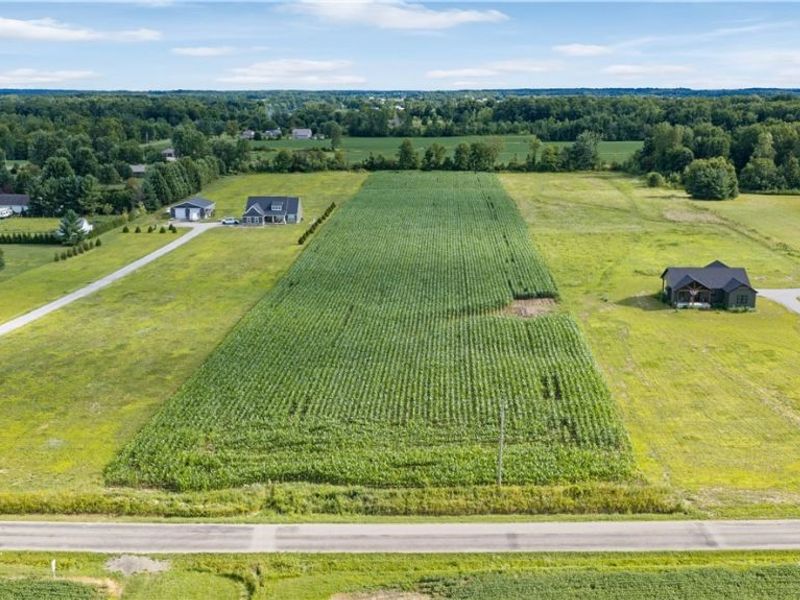 Old Mill Road, Spencer, OH 44275 Photo 3