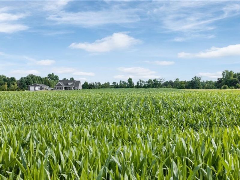 Old Mill Road, Spencer, OH 44275 Photo 4