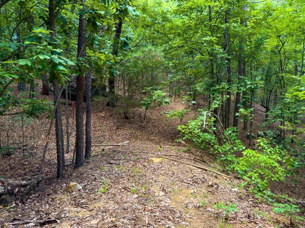 00 Ember Road, Shirley, AR 72153