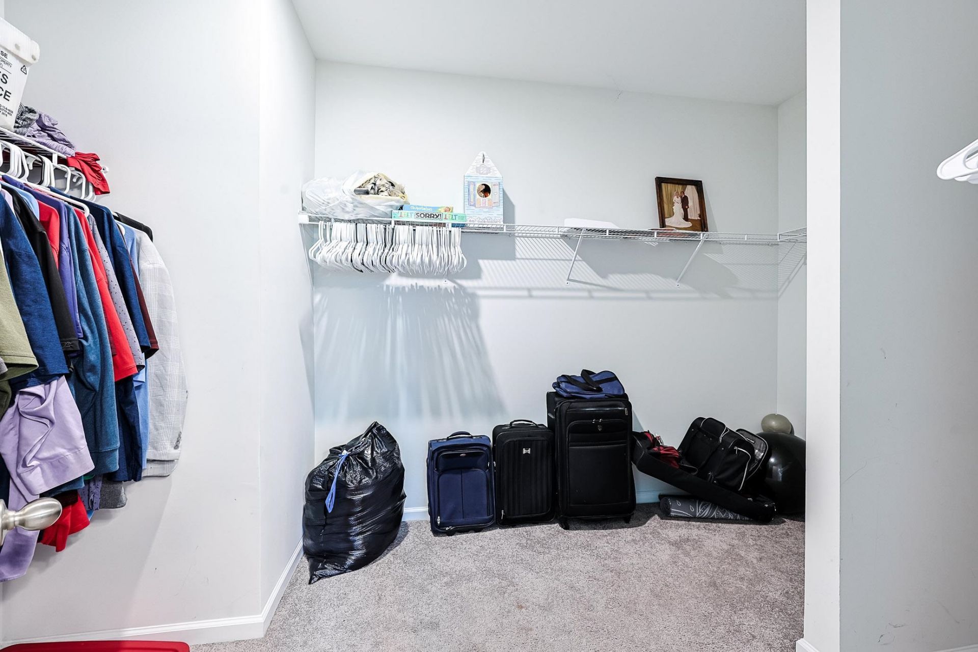 249 Rolling Woods Ct.  Photo 18