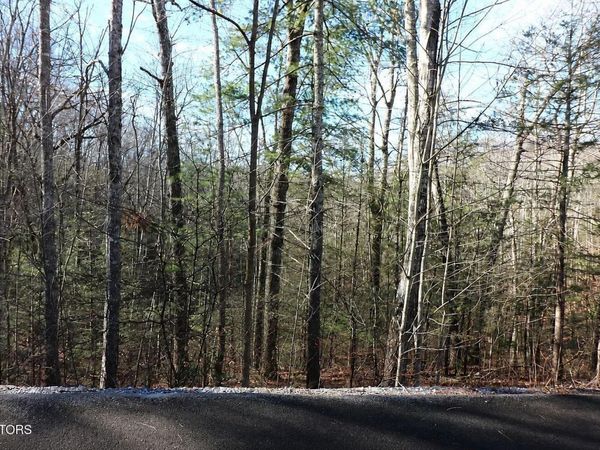 Whetstone Rd, Sevierville, TN 37862