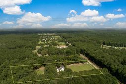 463 Campbell Road photo 4