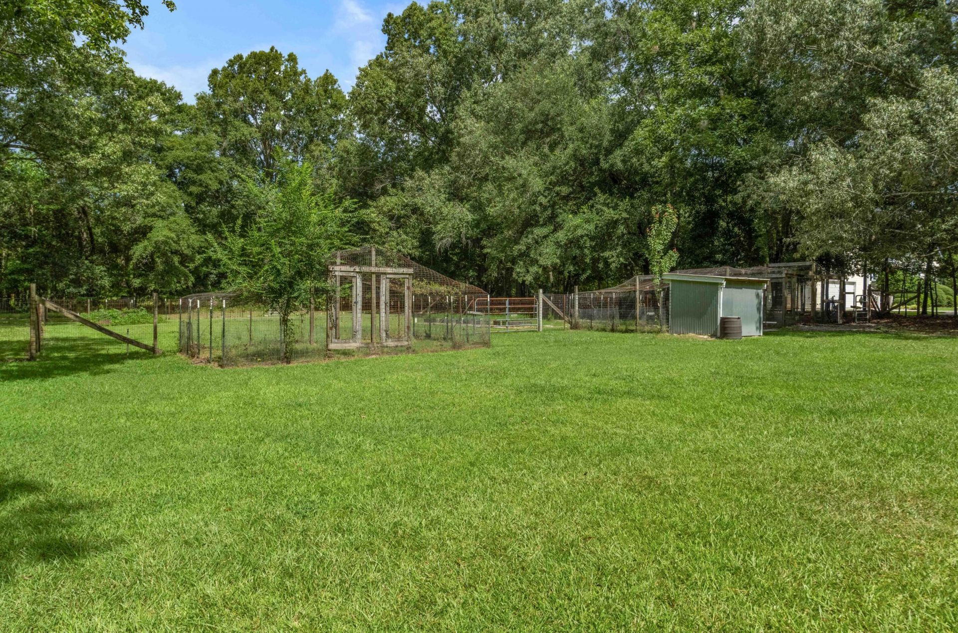463 Campbell Road Photo 68