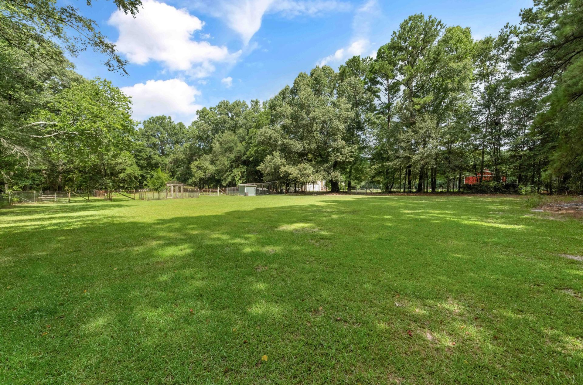 463 Campbell Road Photo 70