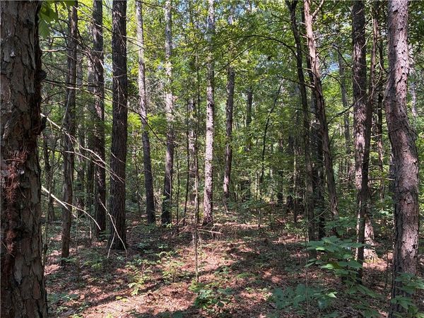 Marion County 6025 Bald Jesse, Yellville, AR 72687