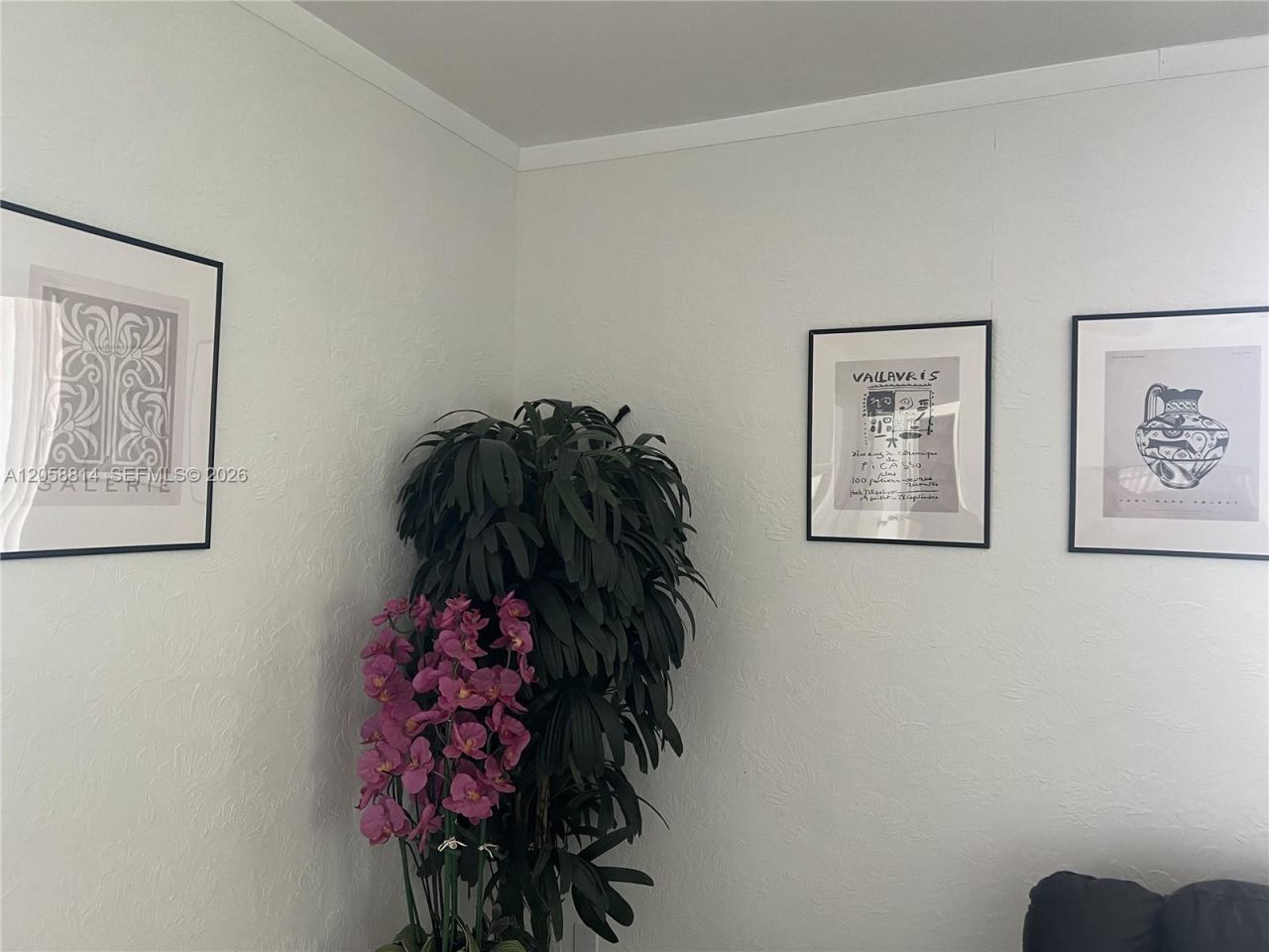 961 E 9th St, Hialeah, FL 33010 Photo