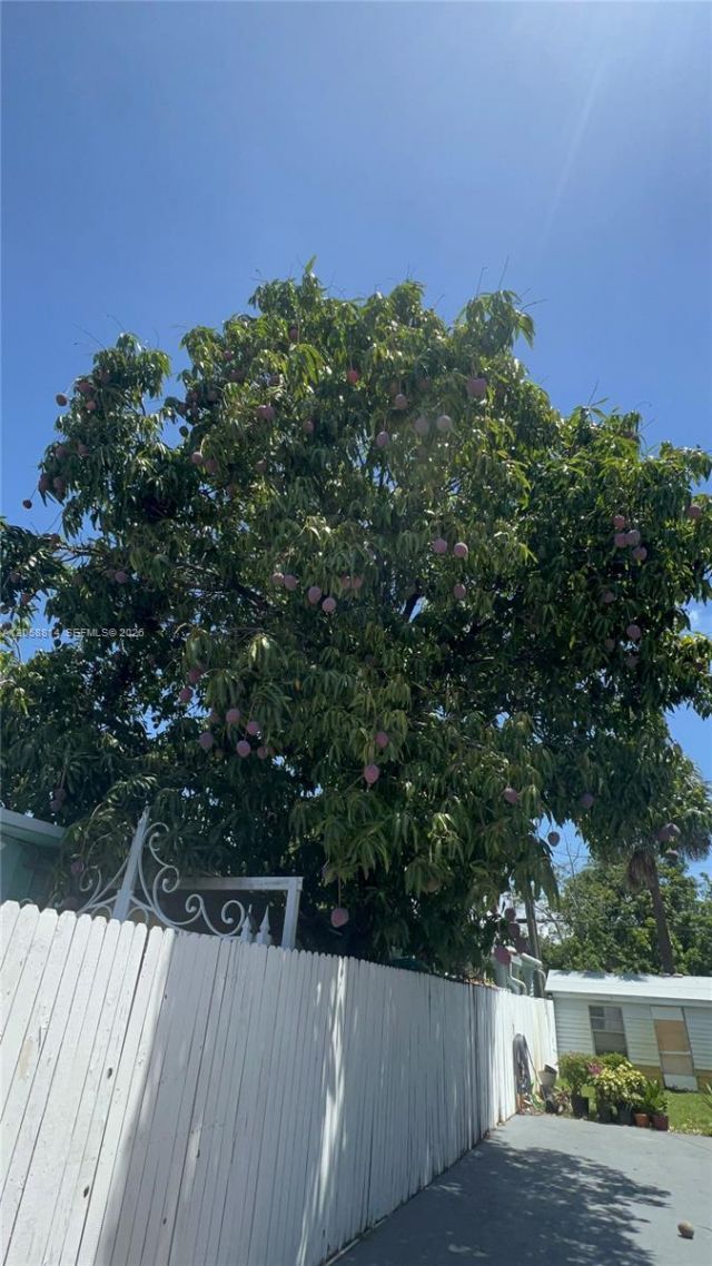961 E 9th St, Hialeah, FL 33010 Photo