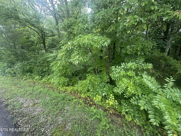 302 Elohi Trace, Loudon, TN 37774
