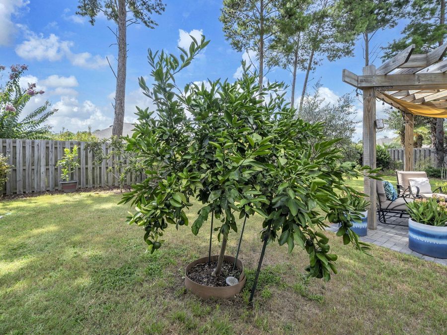 Property Image 60