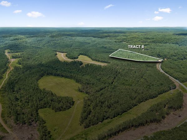 1420 Big Swan Creek Rd Tract 8 , Summertown, TN 38483