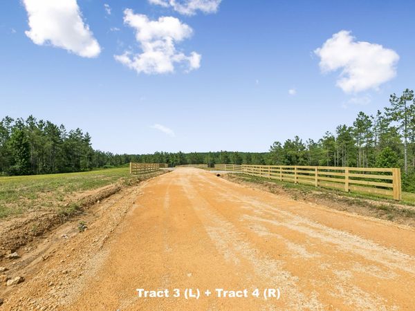 1420 Big Swan Creek Rd Tract 3 , Summertown, TN 38483
