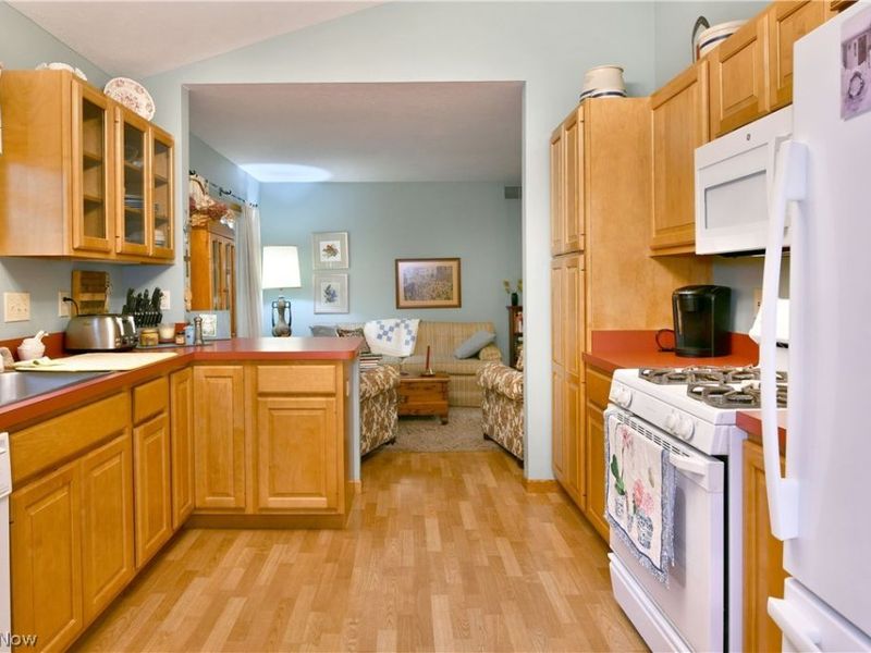 109 Saw Mill Bend, Chardon, OH 44024 Photo 17