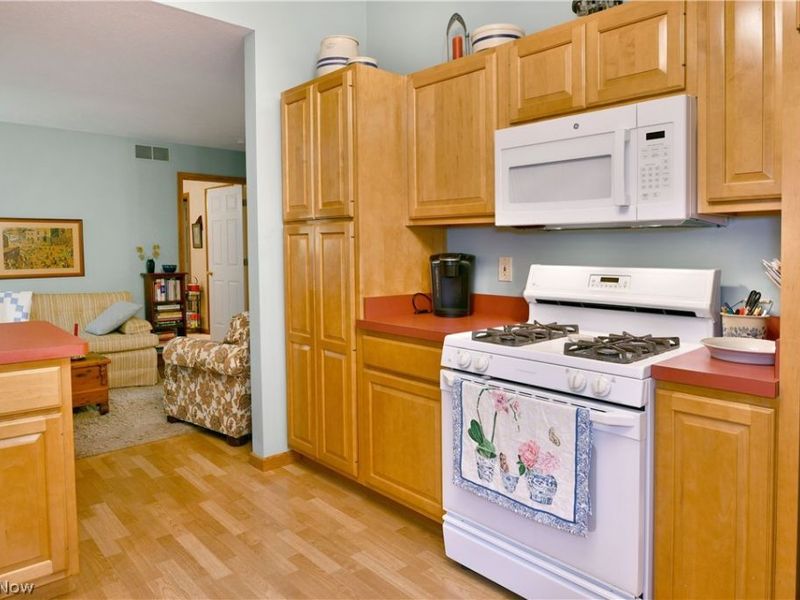 109 Saw Mill Bend, Chardon, OH 44024 Photo 18