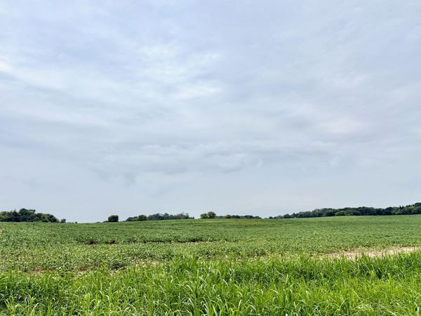 TBD (L3B2) Flamingo Street NW, Isanti, MN 55040