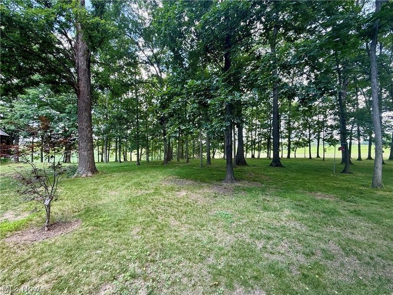 1098 Mace Road NE, Carrollton, OH 44615 Photo 39