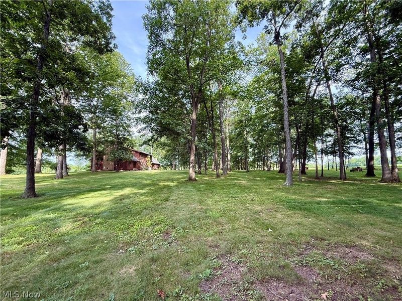 1098 Mace Road NE, Carrollton, OH 44615 Photo 42