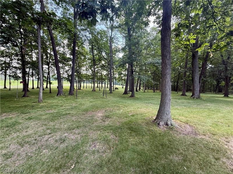 1098 Mace Road NE, Carrollton, OH 44615 Photo 44