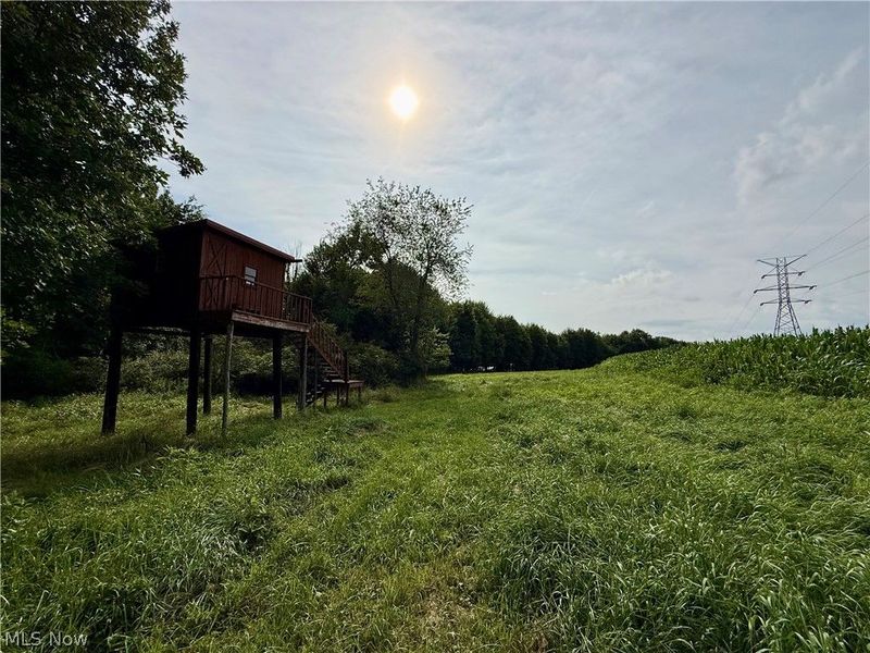 1098 Mace Road NE, Carrollton, OH 44615 Photo 49