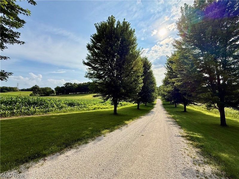 1098 Mace Road NE, Carrollton, OH 44615 Photo 6